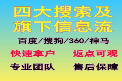 大型SEM服务公司案例分析